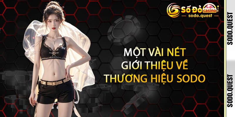 20 Một vài nét giới thiệu về thương hiệu Sodo